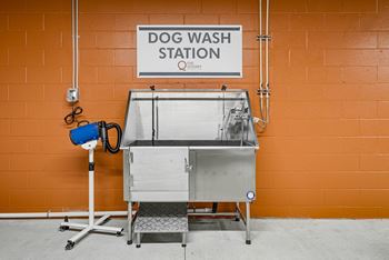 a dog wash station in front of an orange wall